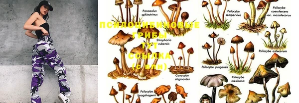 мефедрон Белокуриха