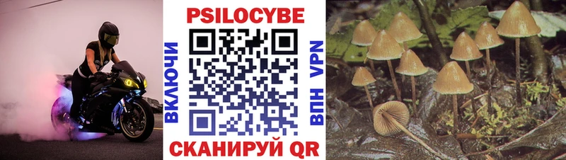 Псилоцибиновые грибы Magic Shrooms  Нарткала 
